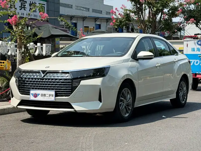 Venucia D60, 2024