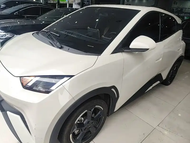 BYD Seagull, 2023