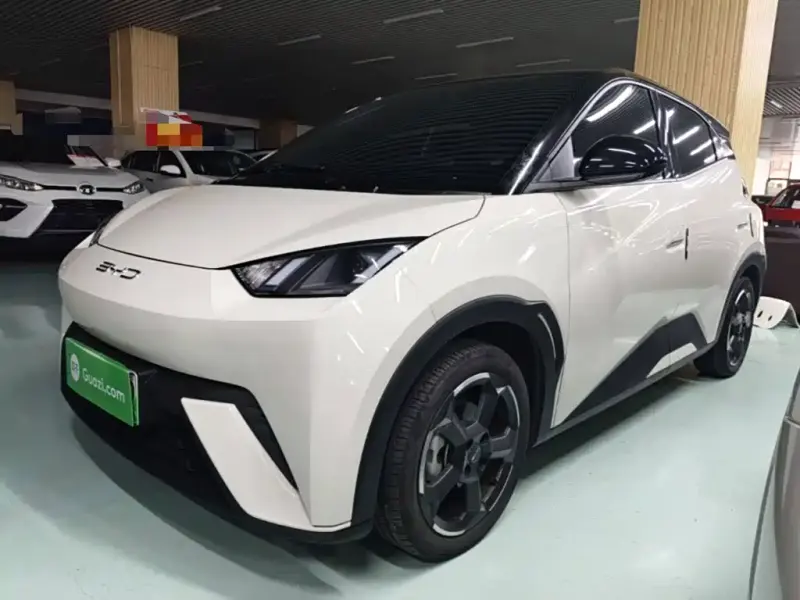 BYD Seagull, 2023