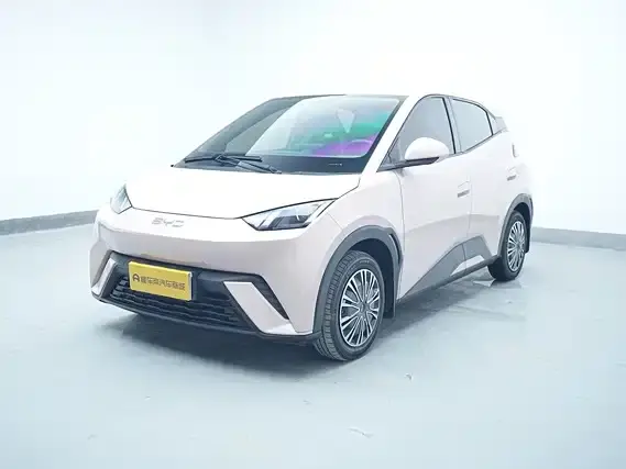 BYD Seagull, 2024