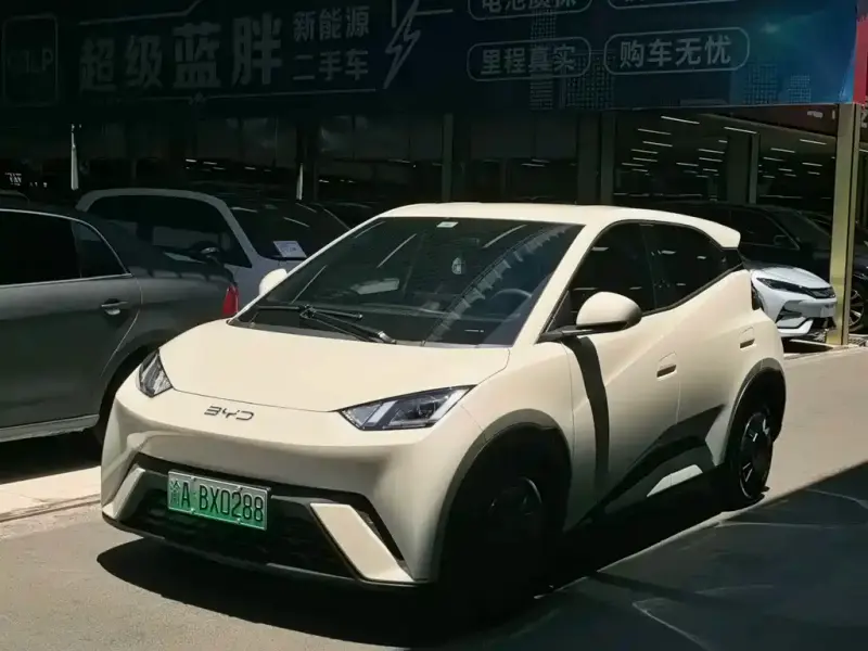 BYD Seagull, 2025