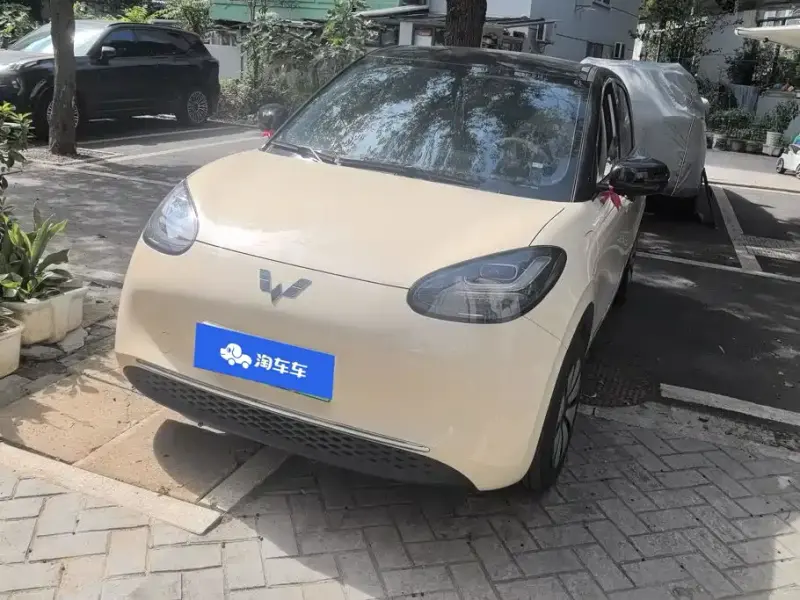 Wuling Bingo, 2025