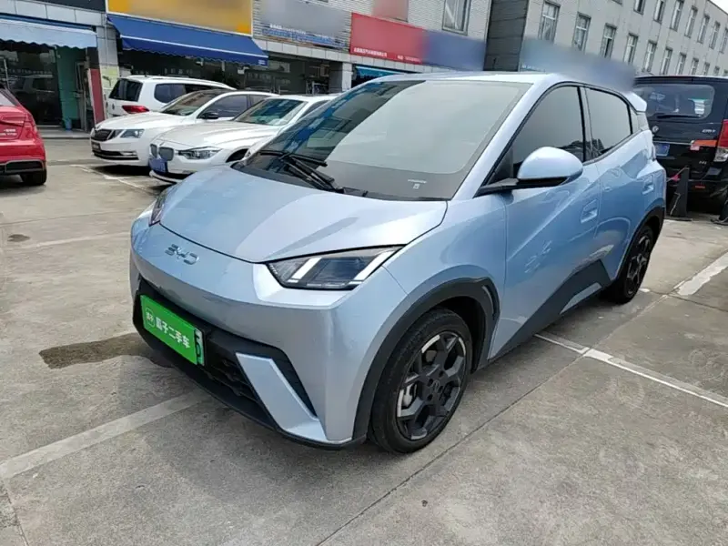 BYD Seagull, 2024