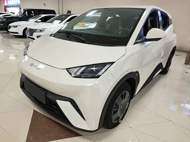BYD Seagull, 2024