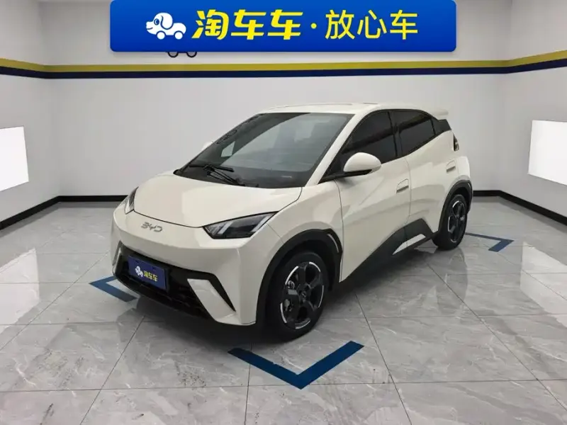 BYD Seagull, 2024