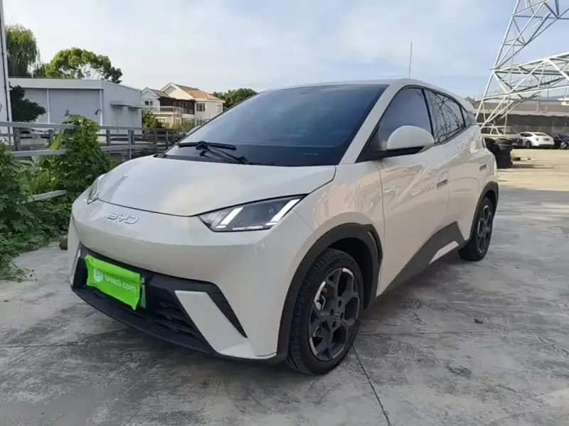 BYD Seagull, 2024