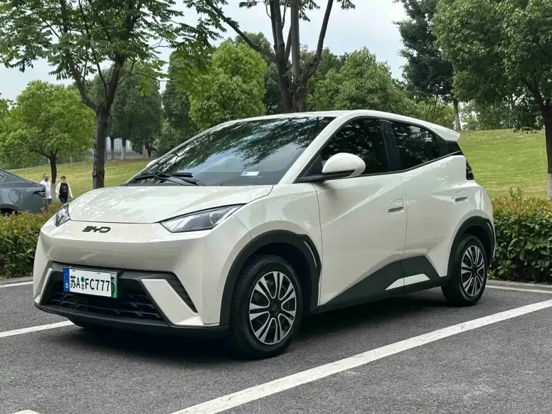 BYD Seagull, 2024