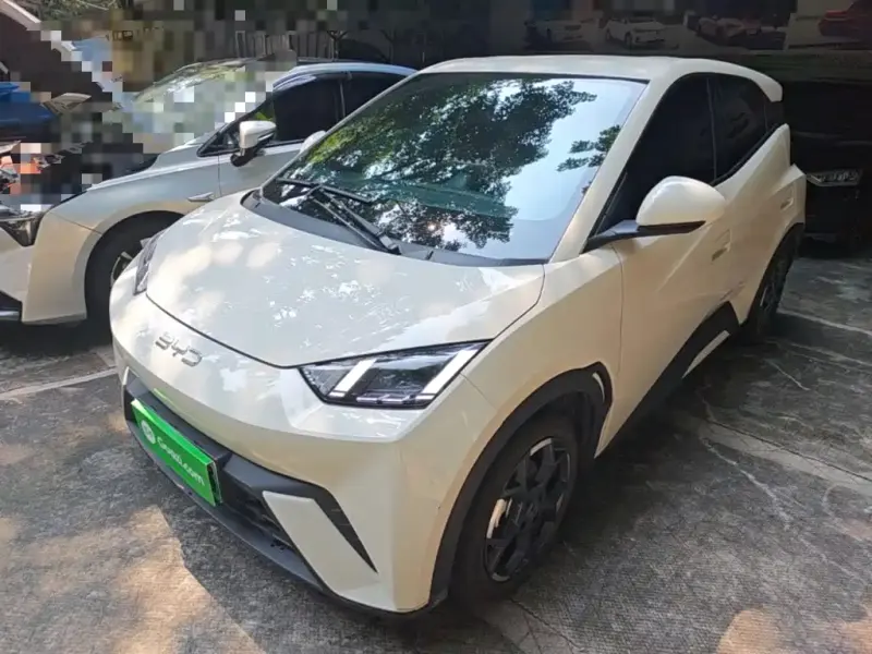 BYD Seagull, 2024