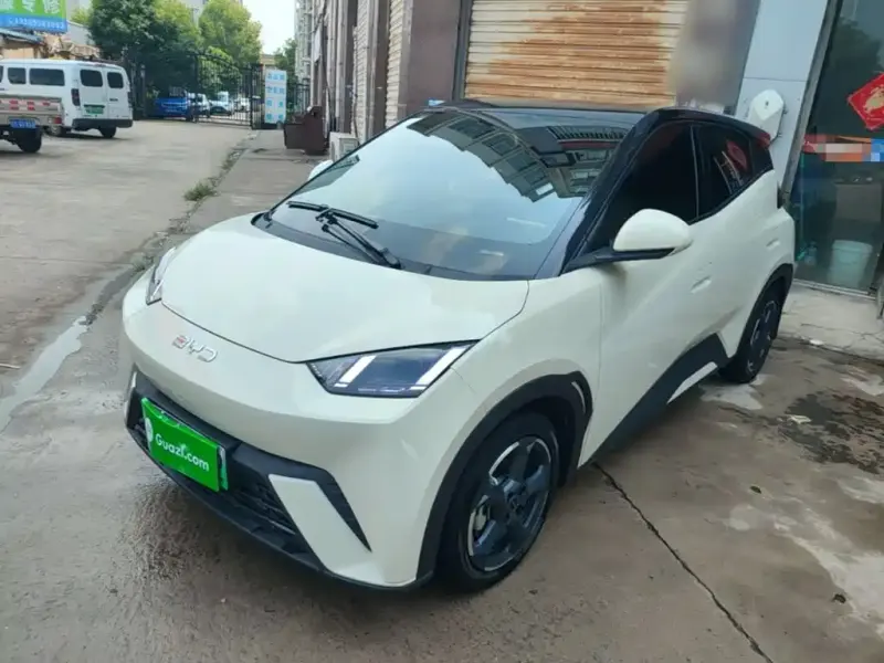 BYD Seagull, 2024