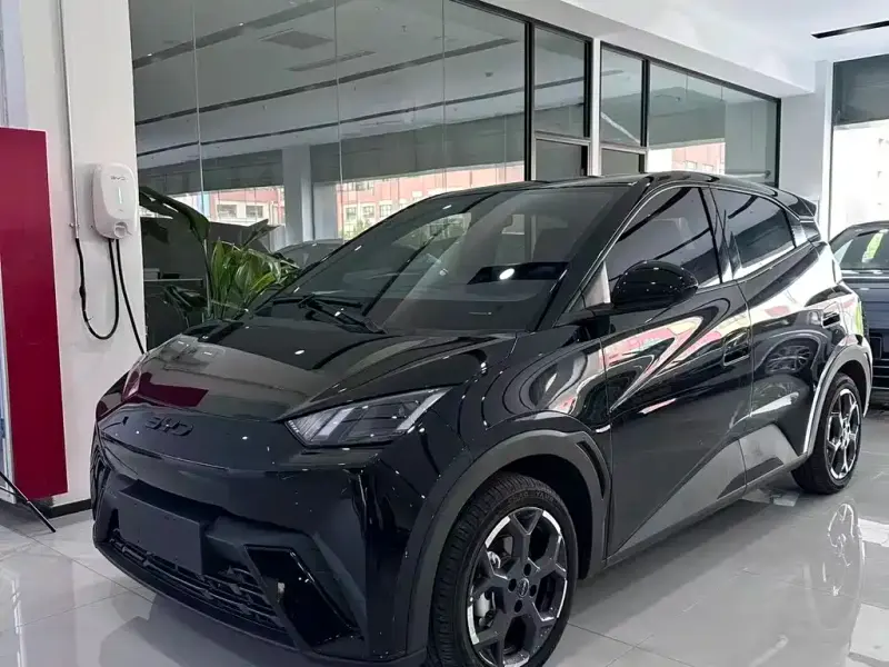 BYD Seagull, 2024