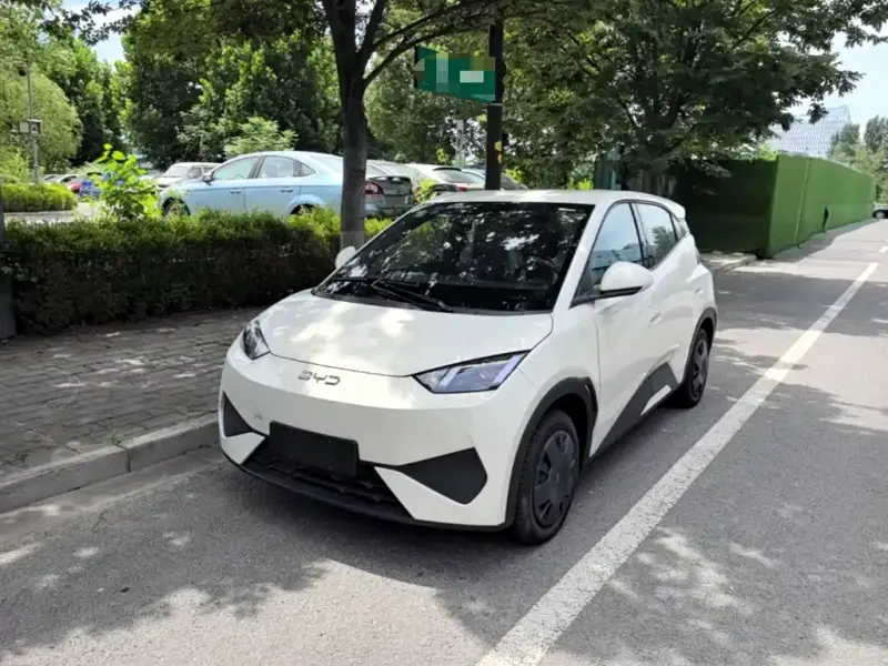 BYD Seagull, 2026