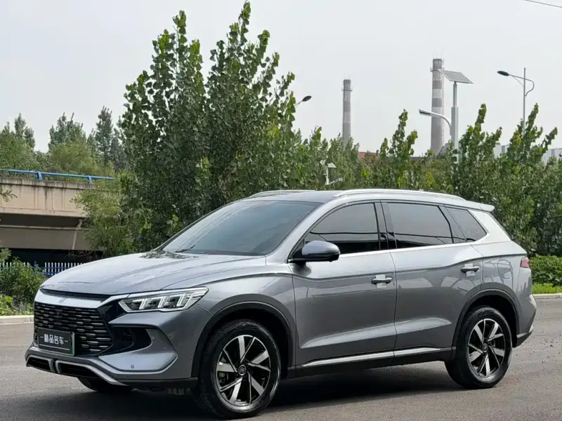BYD Pro New Energy, 2024