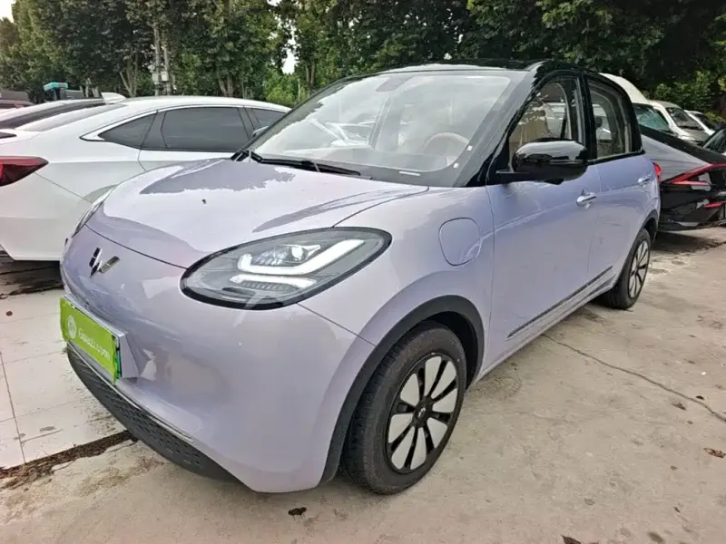 Wuling Bingo, 2025