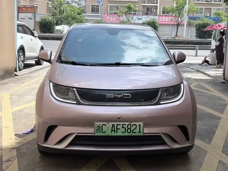 BYD Dolphin, 2023