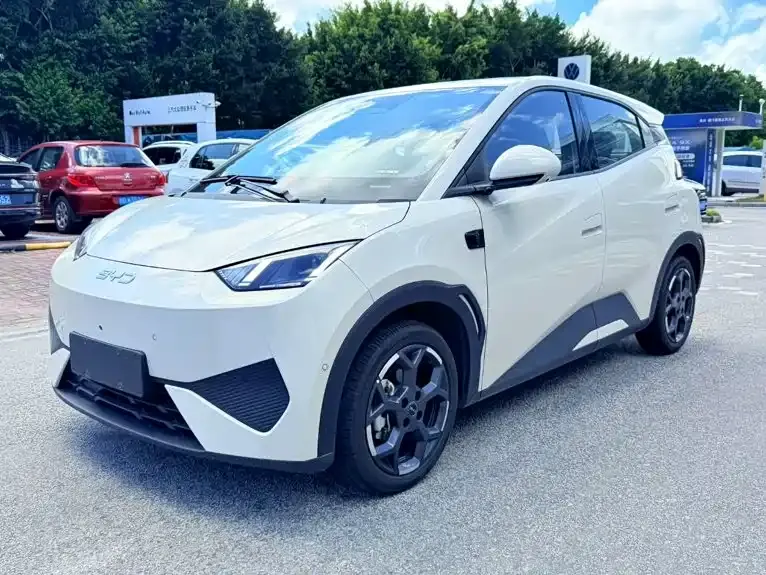 BYD Seagull, 2025