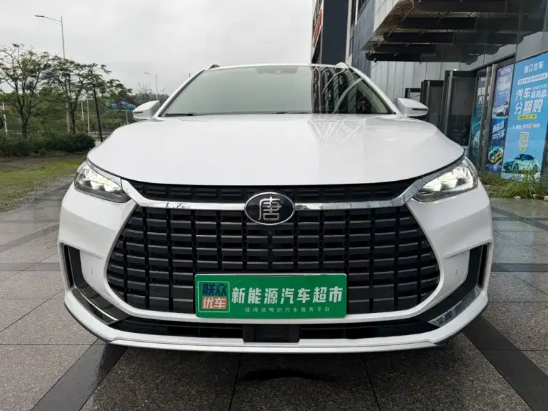 BYD Tang New Energy, 2019