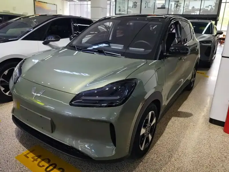 Wuling Bingo PLUS, 2024