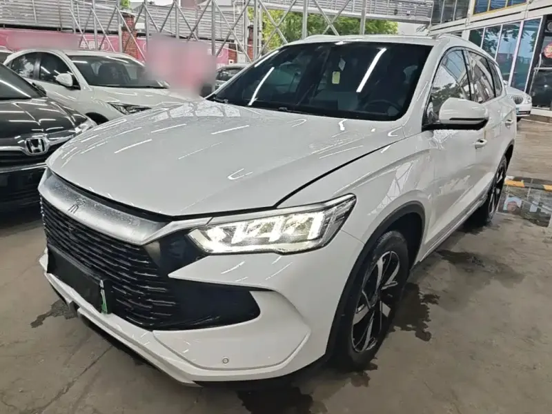 BYD Pro New Energy, 2024