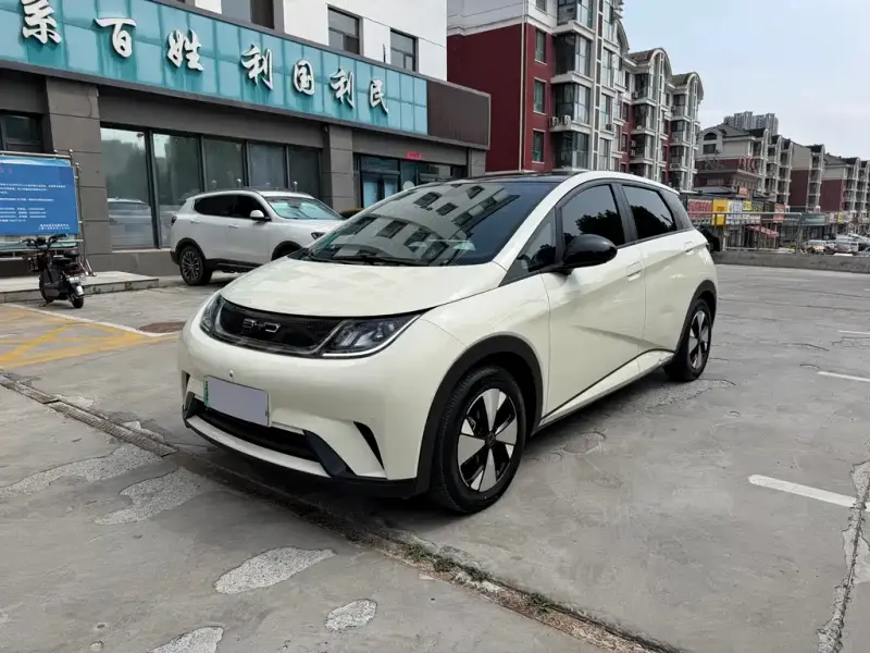 BYD Dolphin, 2024