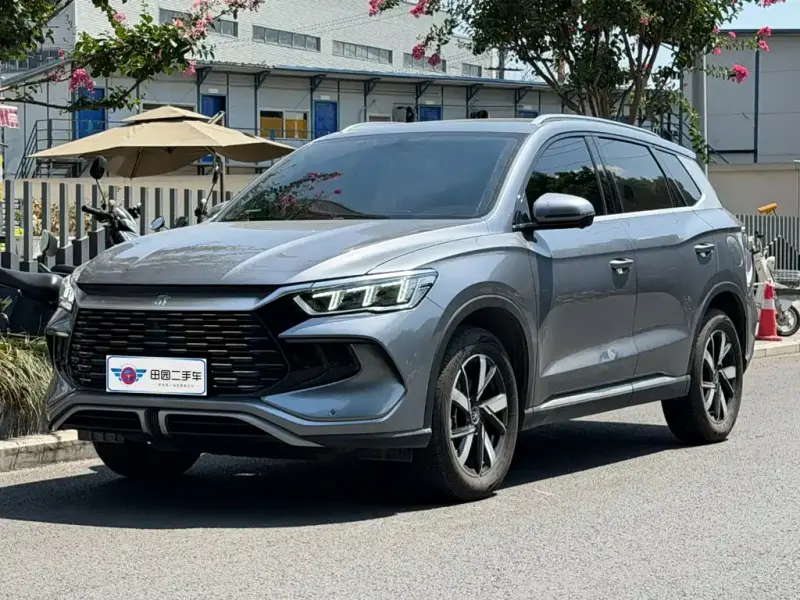 BYD Pro New Energy, 2024