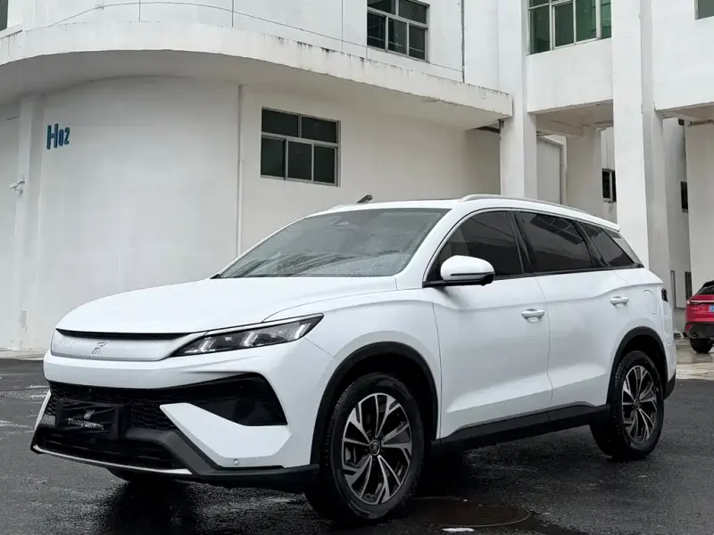 BYD Pro New Energy, 2025