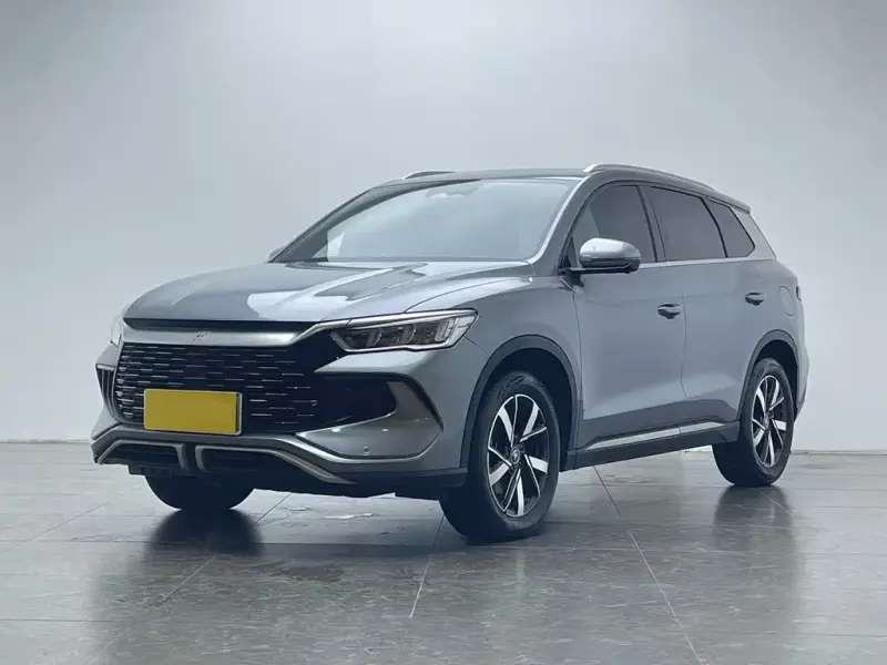 BYD Pro New Energy, 2024