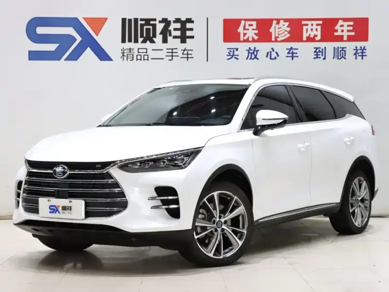 BYD Tang New Energy, 2020