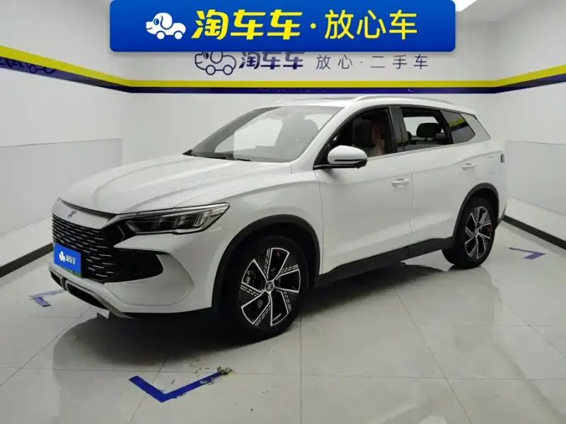 BYD Pro New Energy, 2023