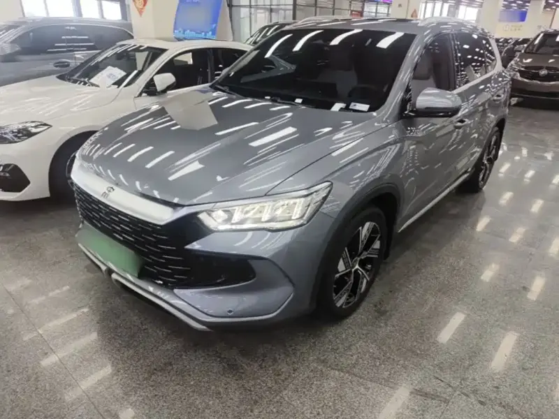 BYD Pro New Energy, 2024