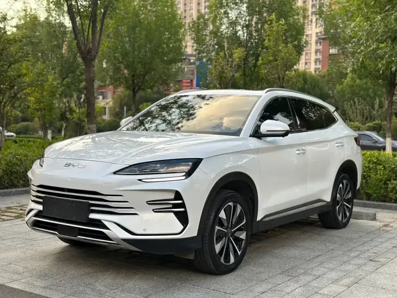 BYD PLUS New Energy, 2024