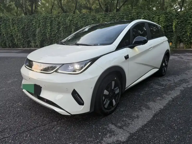 BYD Dolphin, 2025