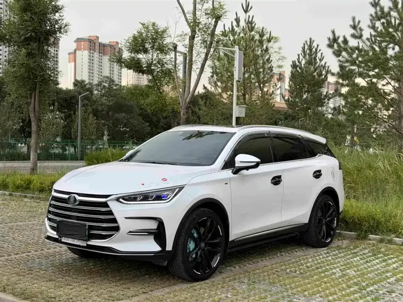 BYD Tang New Energy, 2020