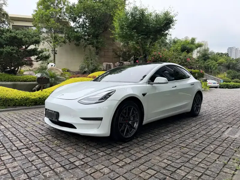 Tesla Model 3, 2019