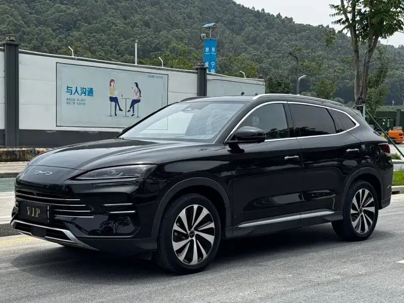 BYD PLUS New Energy, 2024