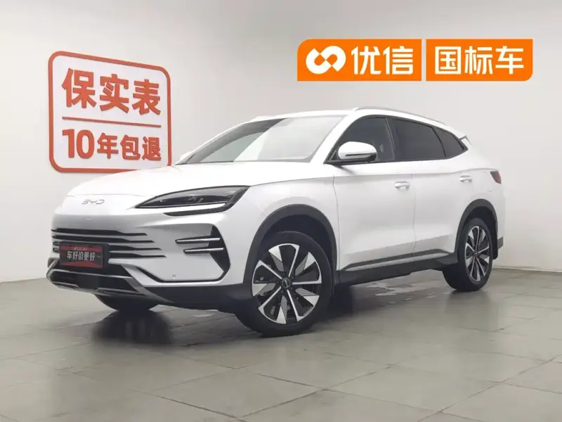BYD PLUS New Energy, 2024