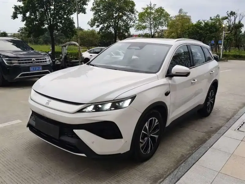 BYD Pro New Energy, 2025
