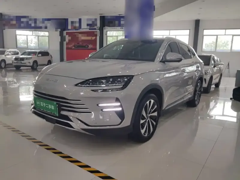 BYD PLUS New Energy, 2024