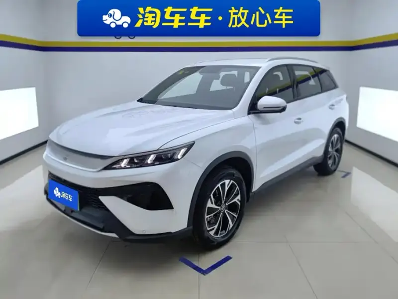 BYD Pro New Energy, 2026
