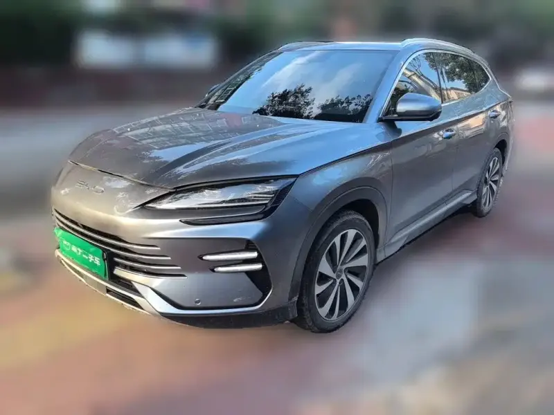 BYD PLUS New Energy, 2024