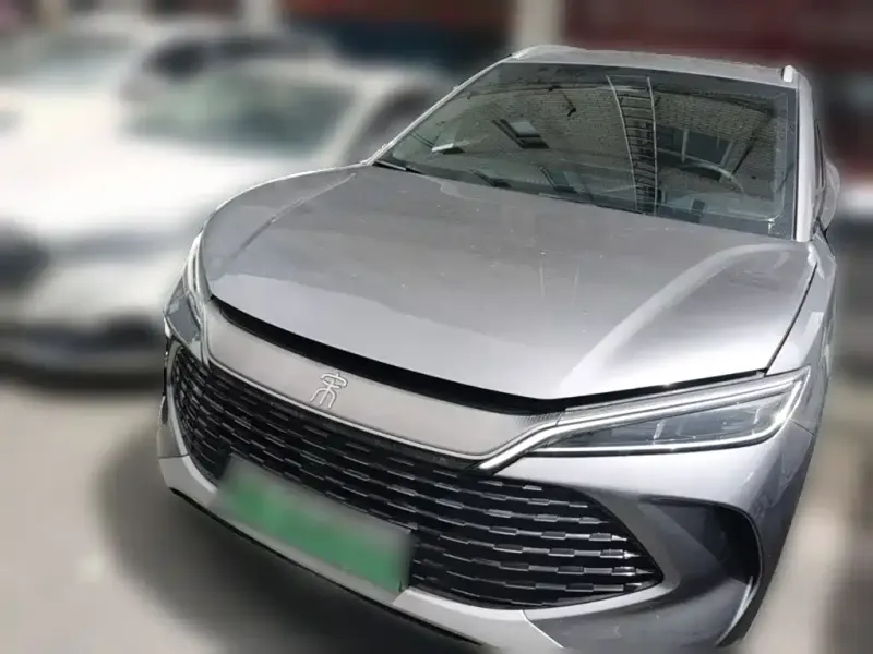 BYD Pro New Energy, 2025