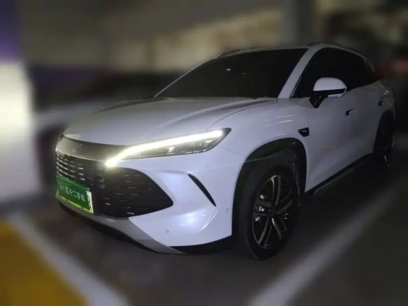 BYD L DM-i, 2025