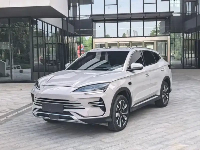 BYD PLUS New Energy, 2025