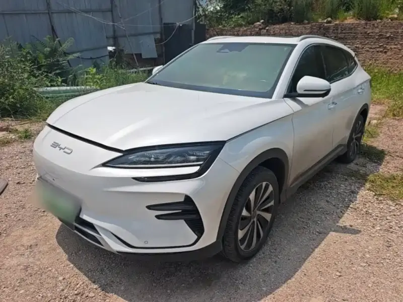 BYD PLUS New Energy, 2024