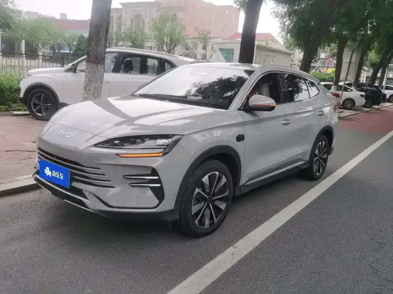 BYD PLUS New Energy, 2025