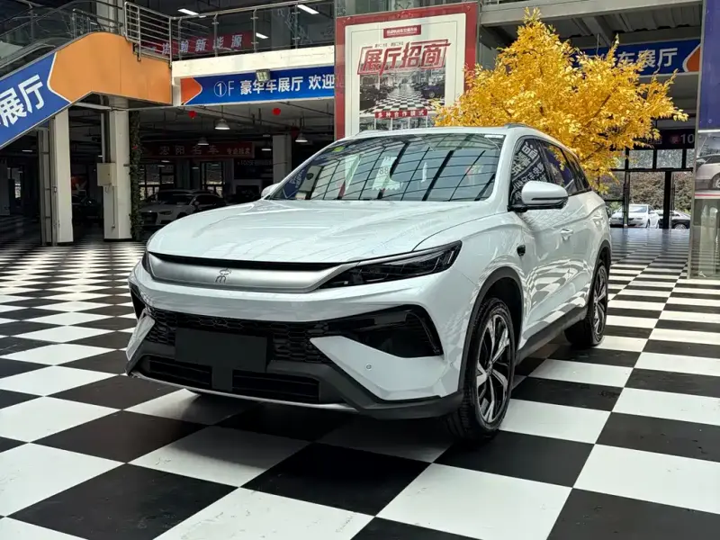 BYD Pro New Energy, 2026