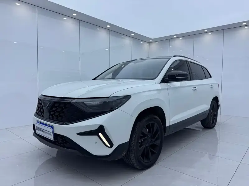 Jetta VS7, 2024