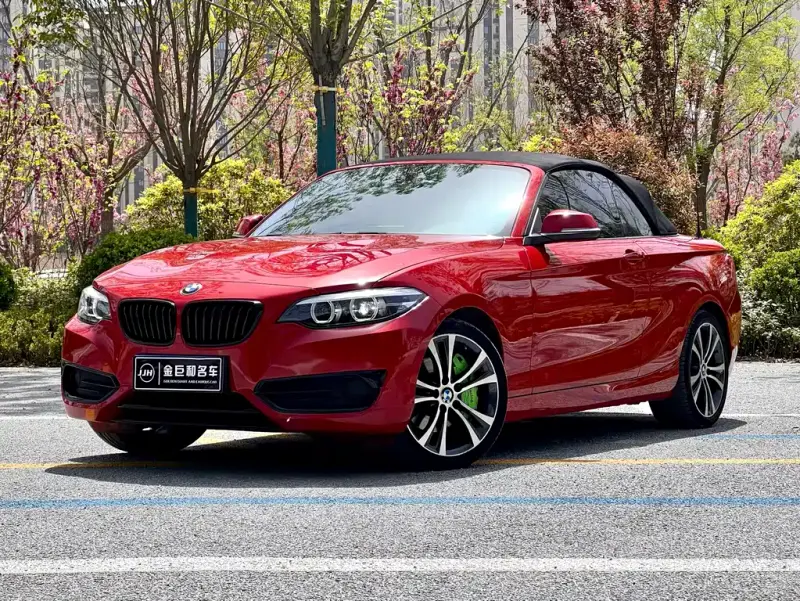 BMW 2 Series (Import), 2021
