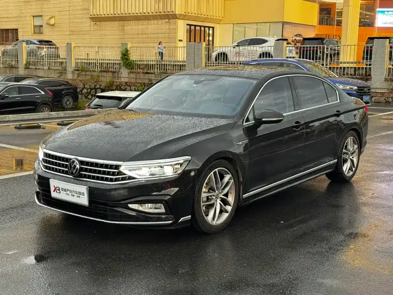 Volkswagen Magotan, 2024