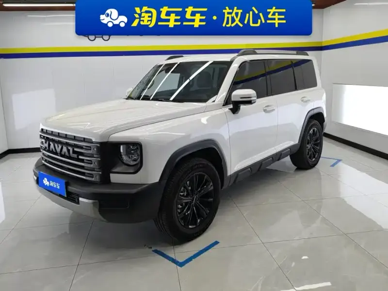 Haval Menglong New Energy, 2024