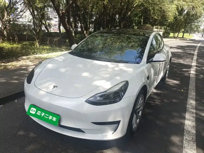 Tesla Model 3, 2021